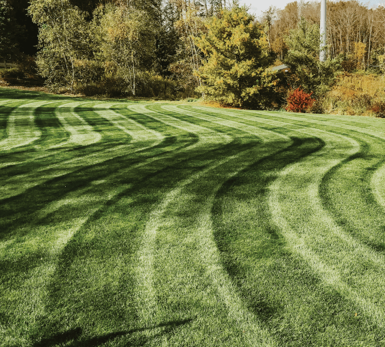 Landscaping in East Benton, PA