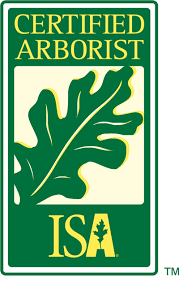 AOS has ISA Certified Arborists